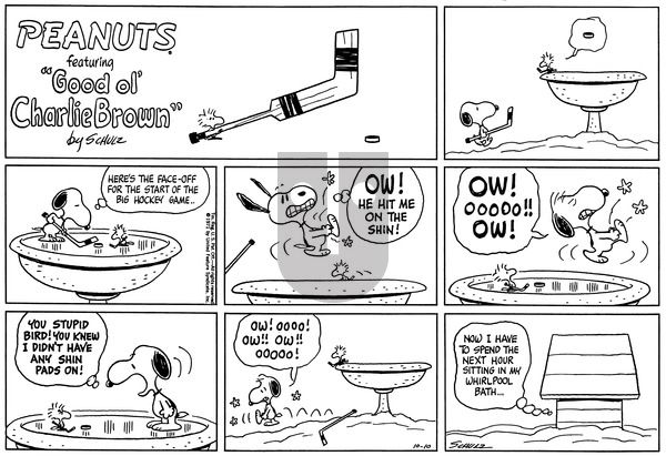 Peanuts on Sunday October 10, 1971 Comic Strip