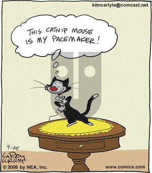 Kit 'N' Carlyle on Friday November 14, 2008 Comic Strip