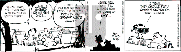 Over the Hedge on Friday May 23, 1997 Comic Strip