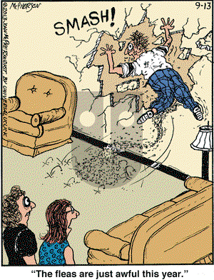 Close to Home on Friday September 13, 2013 Comic Strip