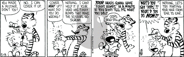 Calvin and Hobbes - Wednesday May 13, 1987 Comic Strip