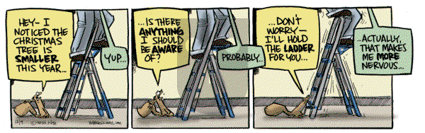 Bob the Squirrel on Tuesday December 9, 2025 Comic Strip