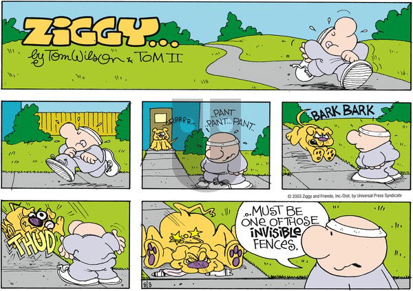 Ziggy on Sunday August 3, 2003 Comic Strip