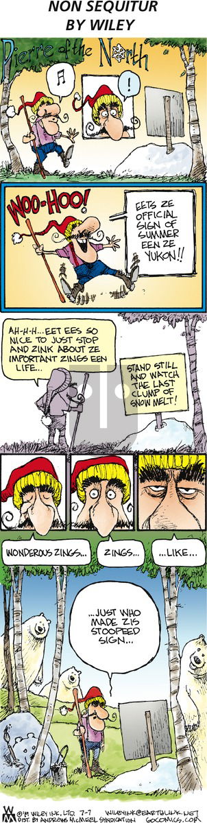 Non Sequitur on Sunday July 7, 2019 Comic Strip
