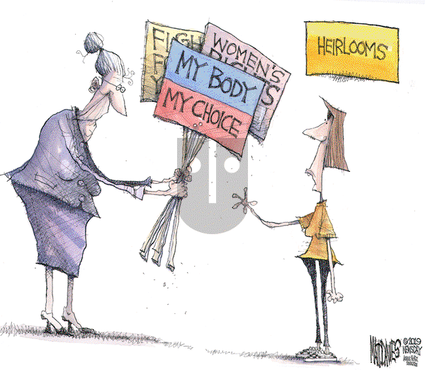 Matt Davies on Thursday June 6, 2019 Comic Strip