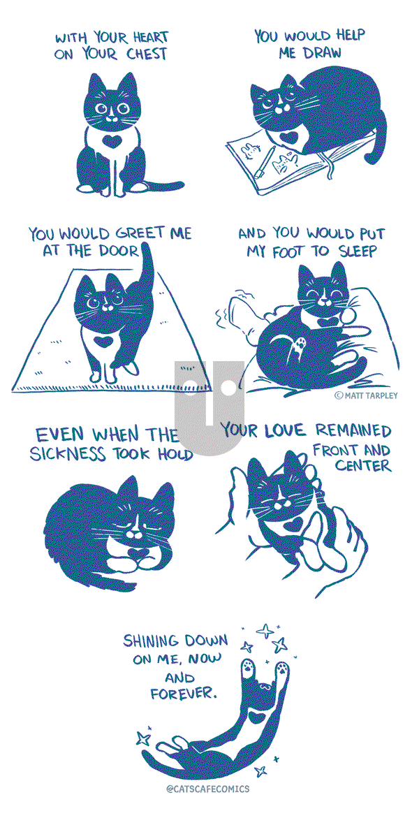 Cat's Cafe on Monday June 14, 2021 Comic Strip