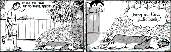 Fred Basset on Tuesday September 8, 2009 Comic Strip