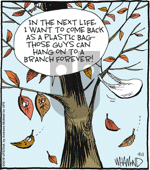 Reality Check on Wednesday September 11, 2019 Comic Strip