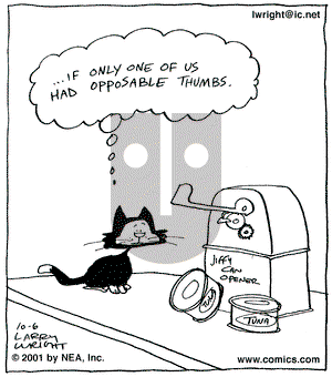 Kit 'N' Carlyle on Tuesday November 13, 2001 Comic Strip