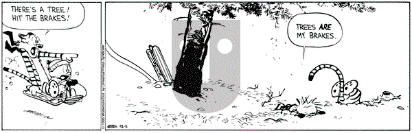Calvin and Hobbes on Monday December 11, 1995 Comic Strip