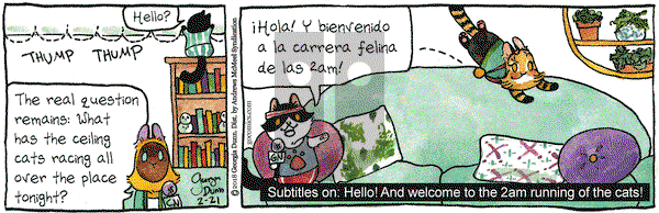 Breaking Cat News on Wednesday February 21, 2018 Comic Strip