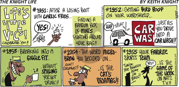 The Knight Life on Sunday September 25, 2016 Comic Strip
