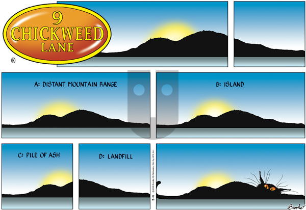 9 Chickweed Lane on Sunday September 4, 2005 Comic Strip