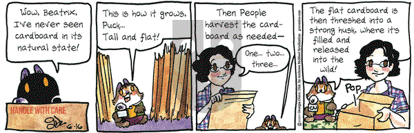 Breaking Cat News on Tuesday June 16, 2020 Comic Strip