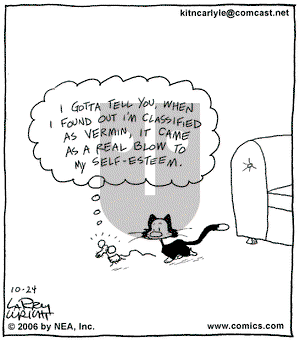 Kit 'N' Carlyle on Tuesday October 24, 2006 Comic Strip