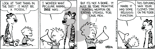 Calvin and Hobbes - Monday August 4, 1986 Comic Strip