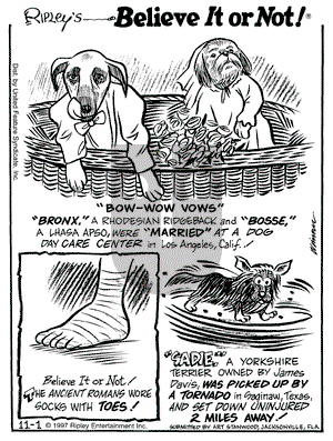 Ripley's Believe It or Not on Saturday November 1, 1997 Comic Strip