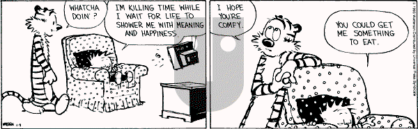 Calvin and Hobbes - Saturday January 9, 1993 Comic Strip
