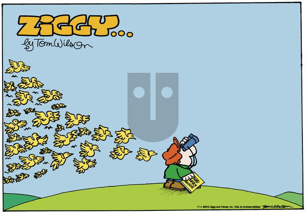 Ziggy on Sunday January 14, 2018 Comic Strip