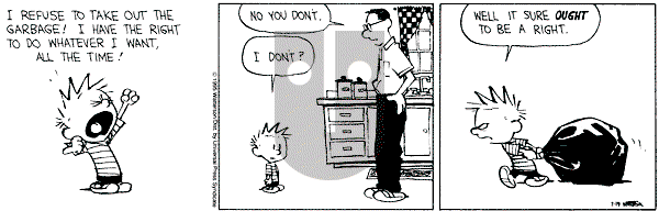 Calvin and Hobbes - Wednesday July 19, 1995 Comic Strip