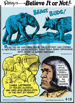 Ripley's Believe It or Not on Tuesday April 19, 2016 Comic Strip