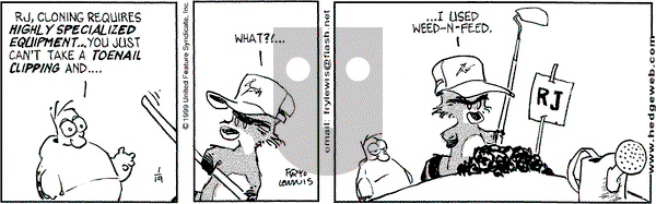 Over the Hedge on Tuesday January 19, 1999 Comic Strip