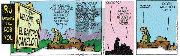 Over the Hedge on Friday January 13, 2006 Comic Strip