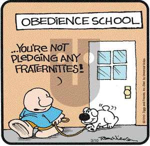 Ziggy on Wednesday March 10, 2010 Comic Strip