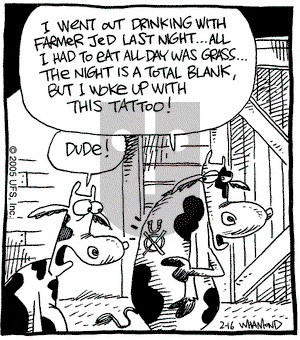 Reality Check on Wednesday February 16, 2005 Comic Strip