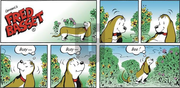 Fred Basset on Sunday September 29, 2019 Comic Strip