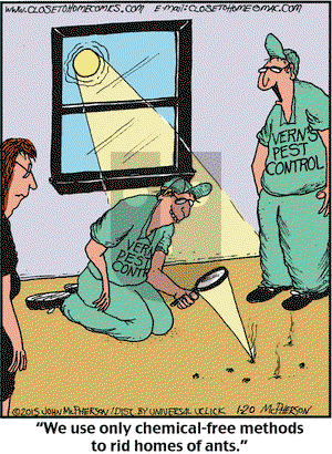 Close to Home on Tuesday January 20, 2015 Comic Strip