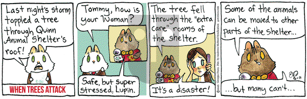 Breaking Cat News on Wednesday June 11, 2025 Comic Strip