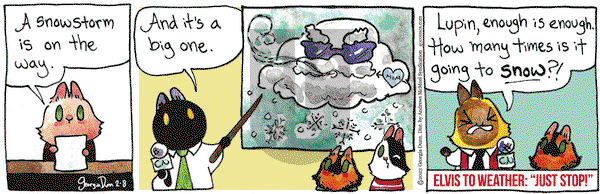 Breaking Cat News - Wednesday February 8, 2023 Comic Strip