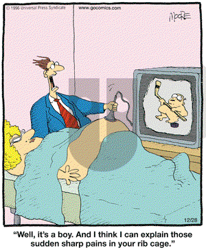 In the Bleachers on Friday December 28, 2007 Comic Strip