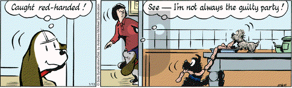 Fred Basset on Friday January 13, 2017 Comic Strip