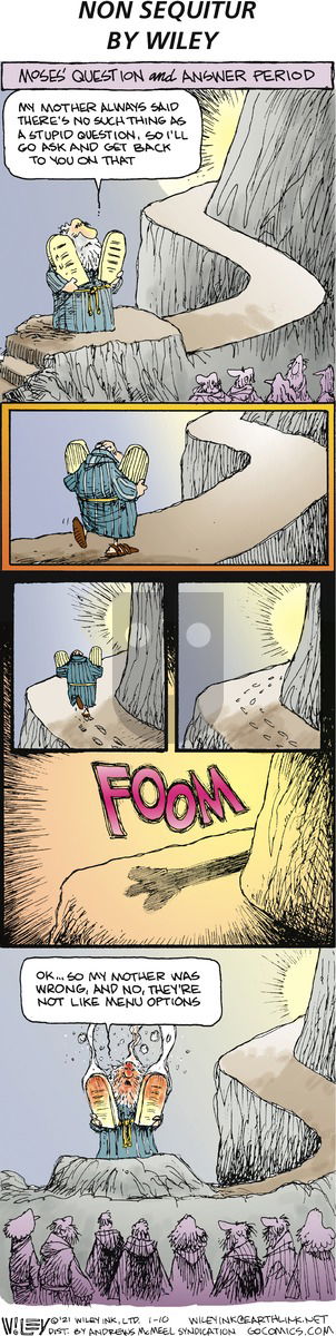 Non Sequitur - Sunday January 10, 2021 Comic Strip