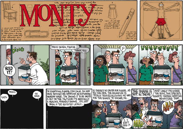 Monty on Sunday August 12, 2012 Comic Strip
