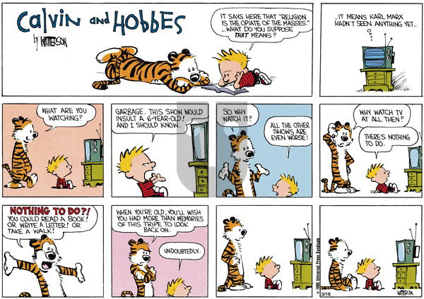 Calvin and Hobbes - Sunday May 5, 1991 Comic Strip