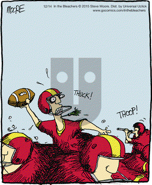 In the Bleachers on Monday December 14, 2015 Comic Strip