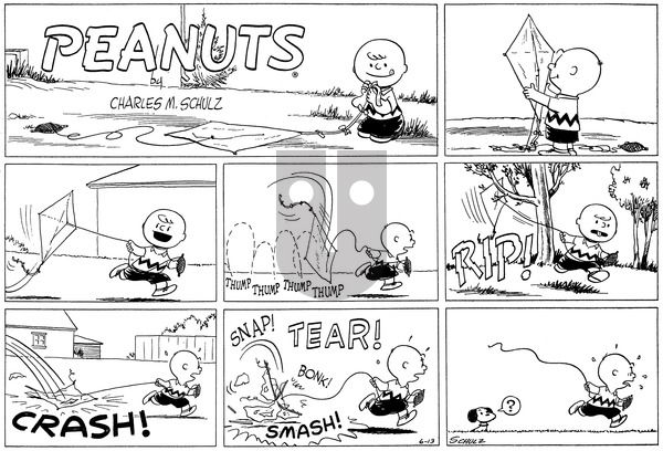 Peanuts on Sunday June 13, 1954 Comic Strip
