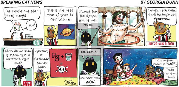 Breaking Cat News on Sunday July 19, 2020 Comic Strip