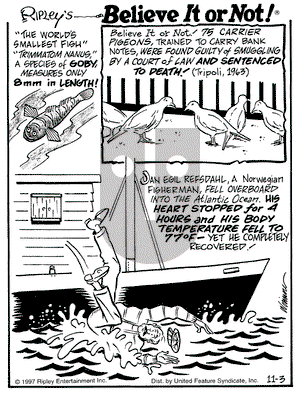 Ripley's Believe It or Not on Monday November 3, 1997 Comic Strip