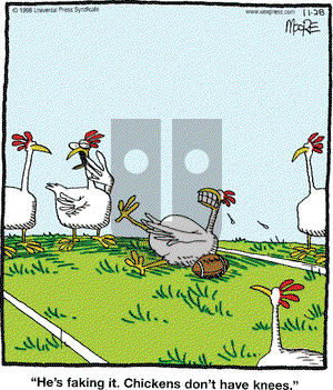 In the Bleachers on Saturday November 28, 1998 Comic Strip