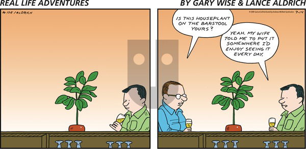 Real Life Adventures on Sunday July 14, 2019 Comic Strip