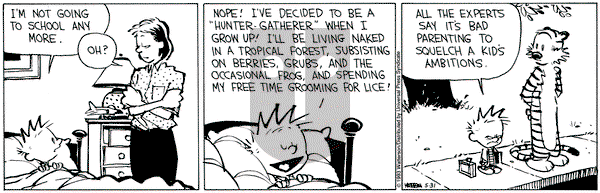 Calvin and Hobbes on Monday May 31, 1993 Comic Strip