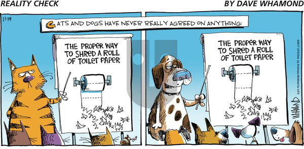 Reality Check on Sunday November 19, 2017 Comic Strip