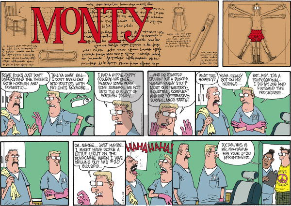 Monty - Sunday January 4, 2015 Comic Strip