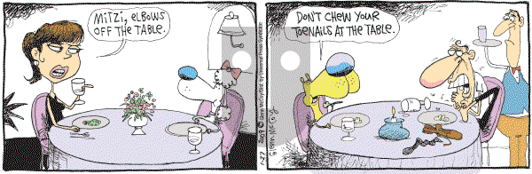 The Duplex on Tuesday January 27, 2009 Comic Strip