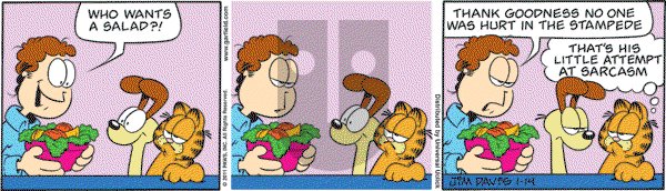 Garfield - Friday January 14, 2011 Comic Strip