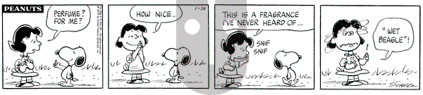 Peanuts on Friday January 28, 1972 Comic Strip